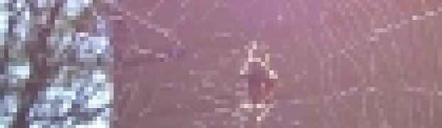 thumbs:
thumbs_Dsc00187