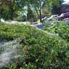 thumbs_Dsc00191