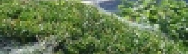 thumbs:
thumbs_Dsc00191